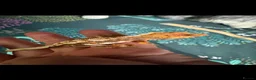 Gecko reptiles for sale: Baby gargoyle geckos and baby cresties lilys etx - Advert 26