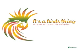 Mixed Breed birds for sale: It's a Birds Thing!!! - Image 11