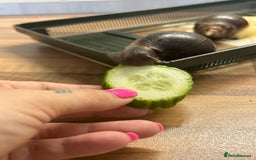 Snails invertebrates for sale: Giant African Land Snails.  - Image 10