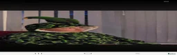 Parrots birds for sale: Male Eclectus parrot - Advert 3