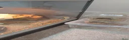 Bearded Dragon reptiles for sale: Bearded Dragon with Complete Vivarium Setup  - Advert 3