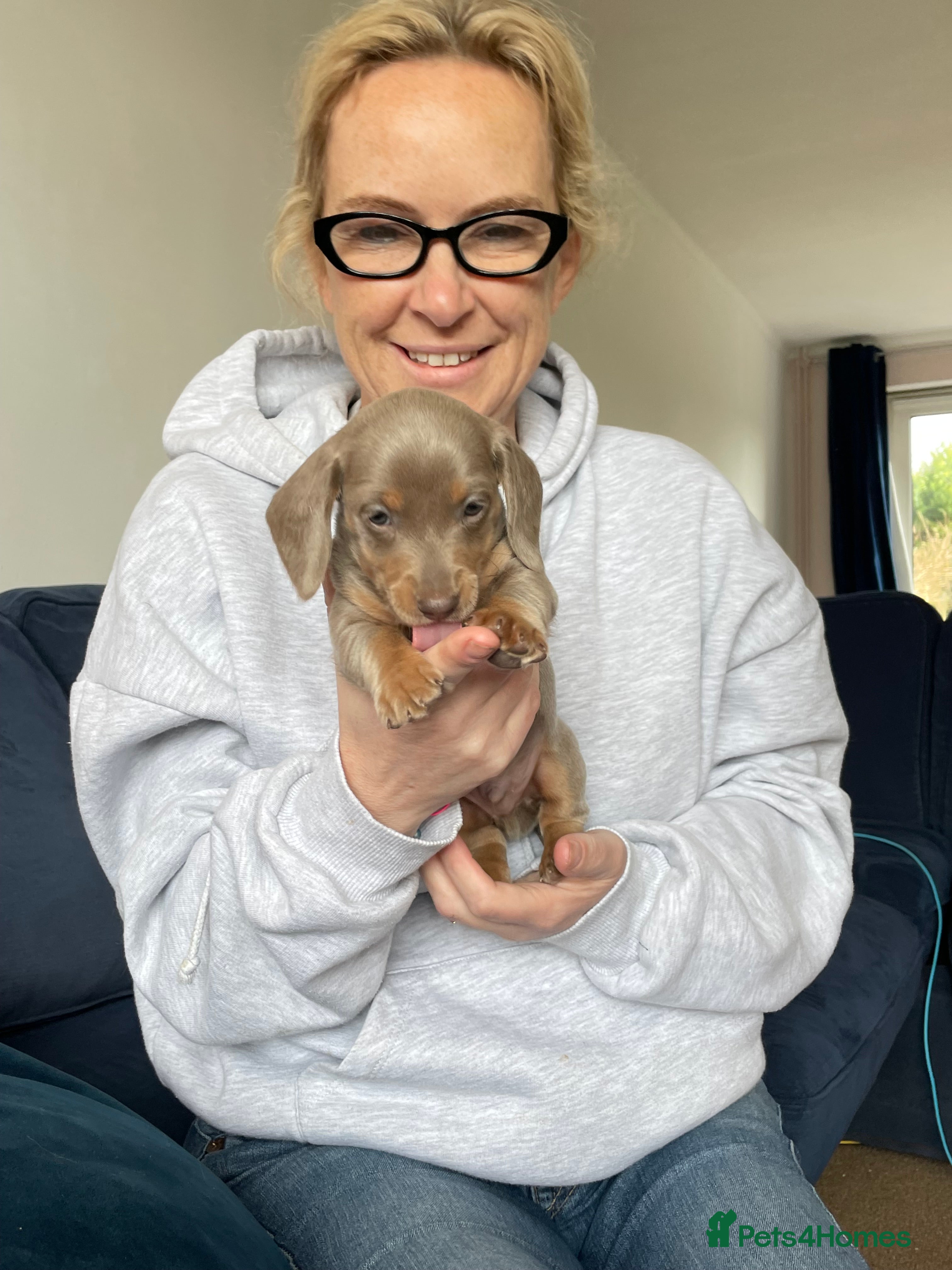 Miniature Dachshund dogs OX15 Mini Dachshund Pups ISABELLA & BLUE ISABELLA - Advert 10