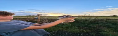 Jack Russell 4