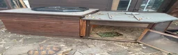Tortoise reptiles for sale: Sulcata tortoise African  in Basildon - Advert 4