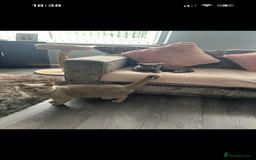 British Shorthair cats for sale: 1 female 1 male British shorthair  - Image 4