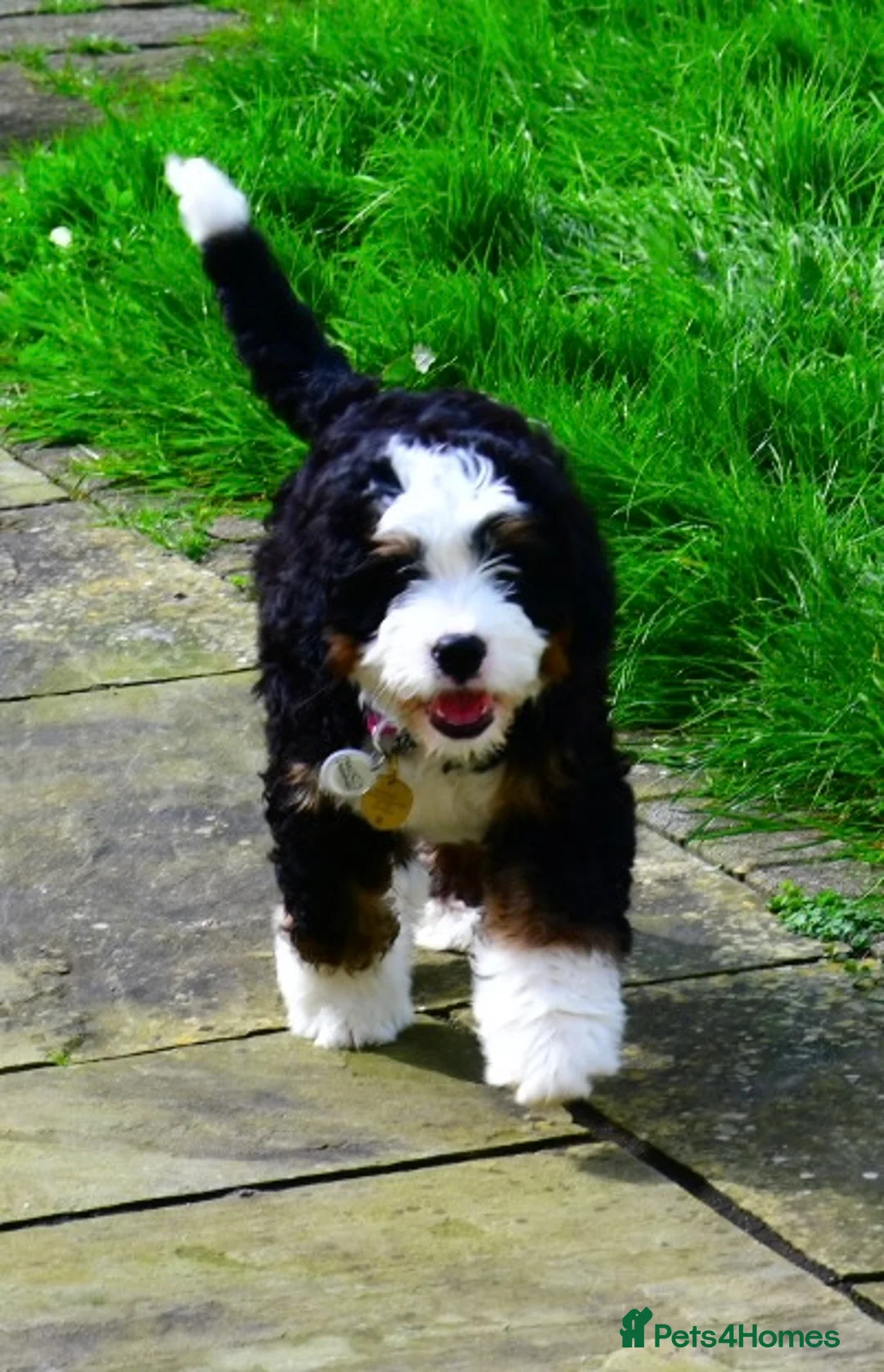 Gallery Image {{count}}