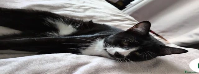 Ellie