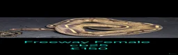 Python Snake reptiles for sale: Variety of Royal Pythons - Advert 2