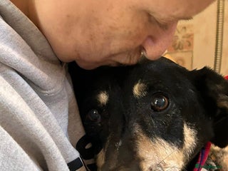 Mixed Breed dogs Lottie - Norwich Norfolk in Norwich - Advert 16