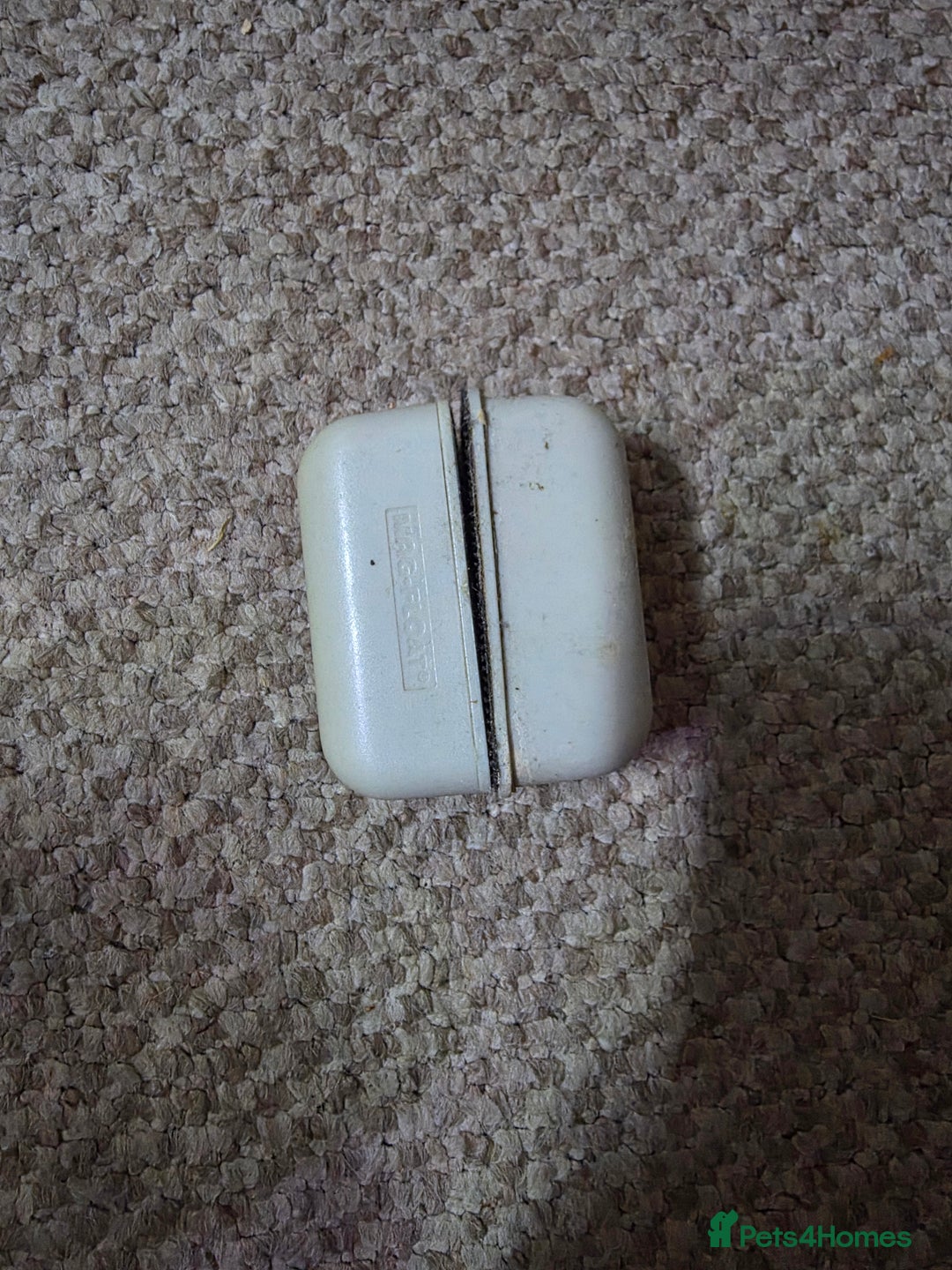 Shrimps fish for sale: Fishtank+accesories in Huntingdon - Advert 11