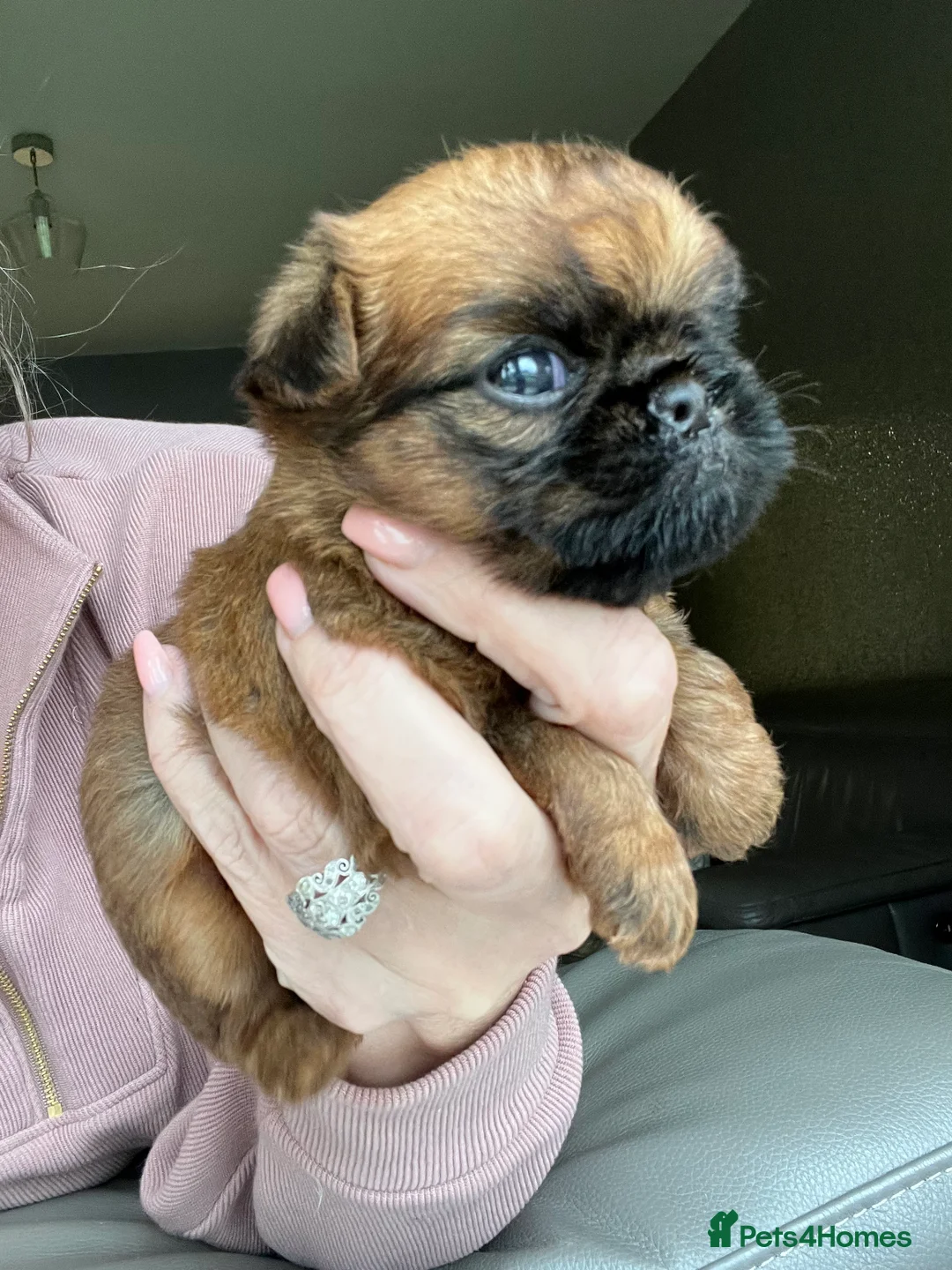 Gallery Image {{count}}