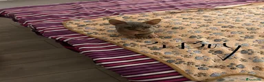 Sphynx 3