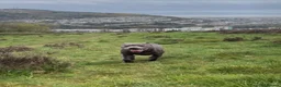 Staffordshire Bull Terrier dogs for sale: Kc registered staffordshire bull terrier puppies in Swansea - Advert 3