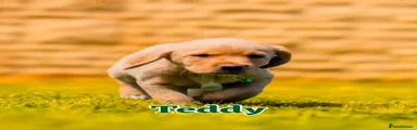 Teddy