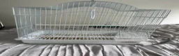 Budgerigars birds for sale: 2 beautiful baby budgies for sale in Stoke-on-Trent - Advert 7