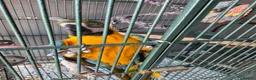 Macaws birds for sale: Missy the Macaw in Bristol - Advert 9