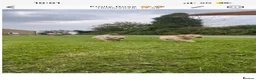 Labrador Retriever dogs for sale: 2 yellow Labrador dog pups  - Advert 2