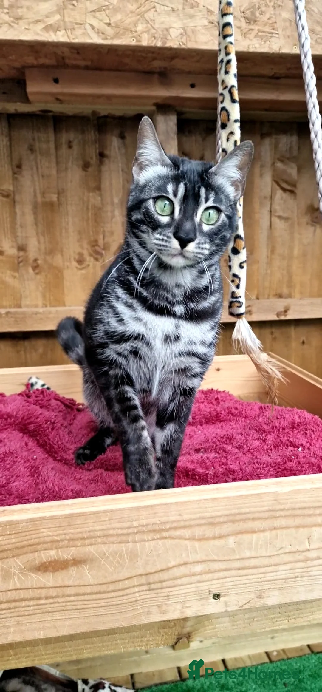 Gallery Image {{count}}