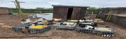 Chickens poultry for sale: Pure breed bantoms - Advert 5