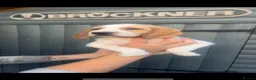 Bocker dogs for sale: Stunning bocker female  - Advert 3
