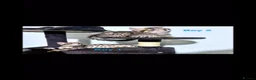 Savannah cats for sale: Gorgeous savannah kittens 2 boys left in Aylesbury - Advert 1