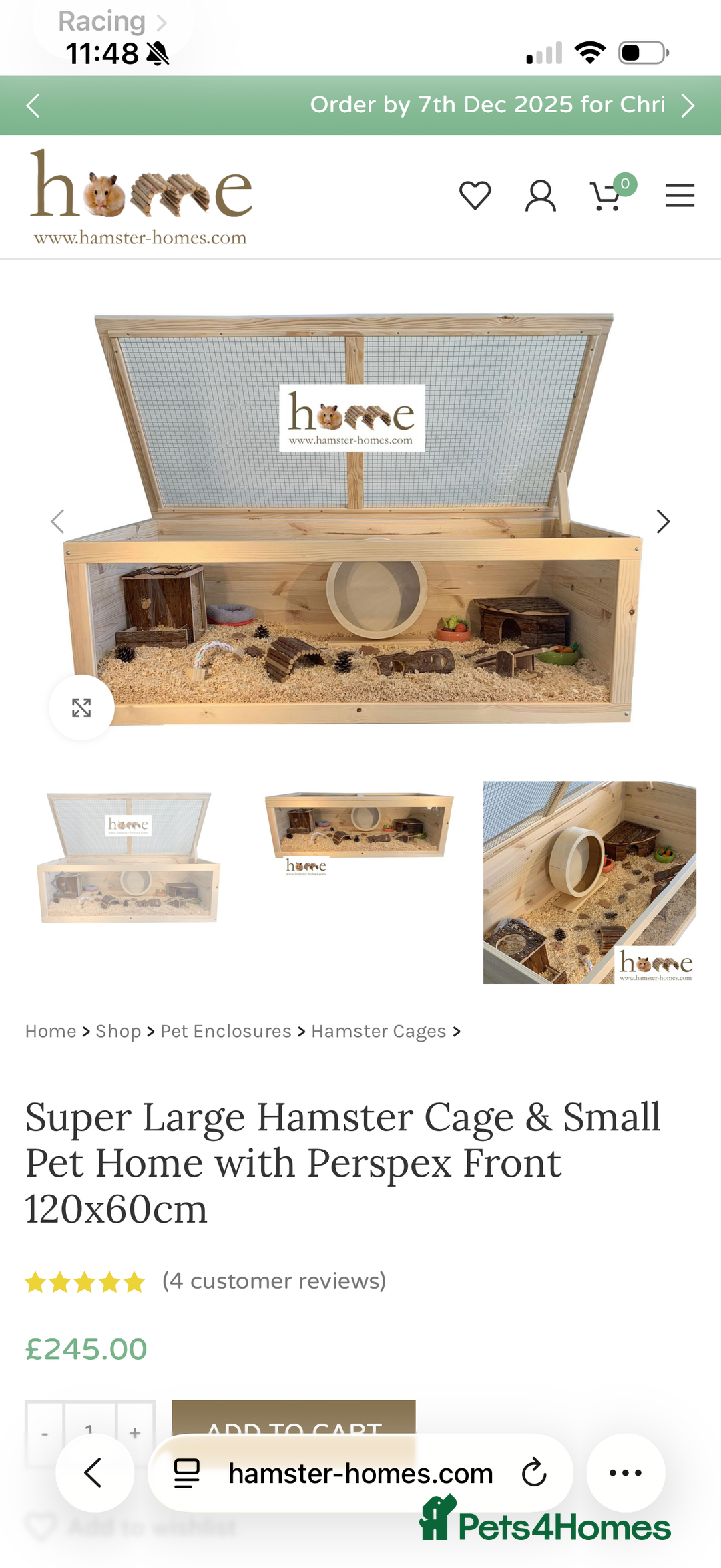 Hamster rodents for sale: 2 Boy Dwarf Hamsters  - Advert 16