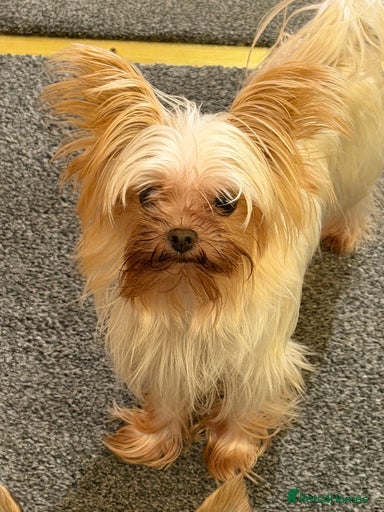 Gallery Image {{count}}