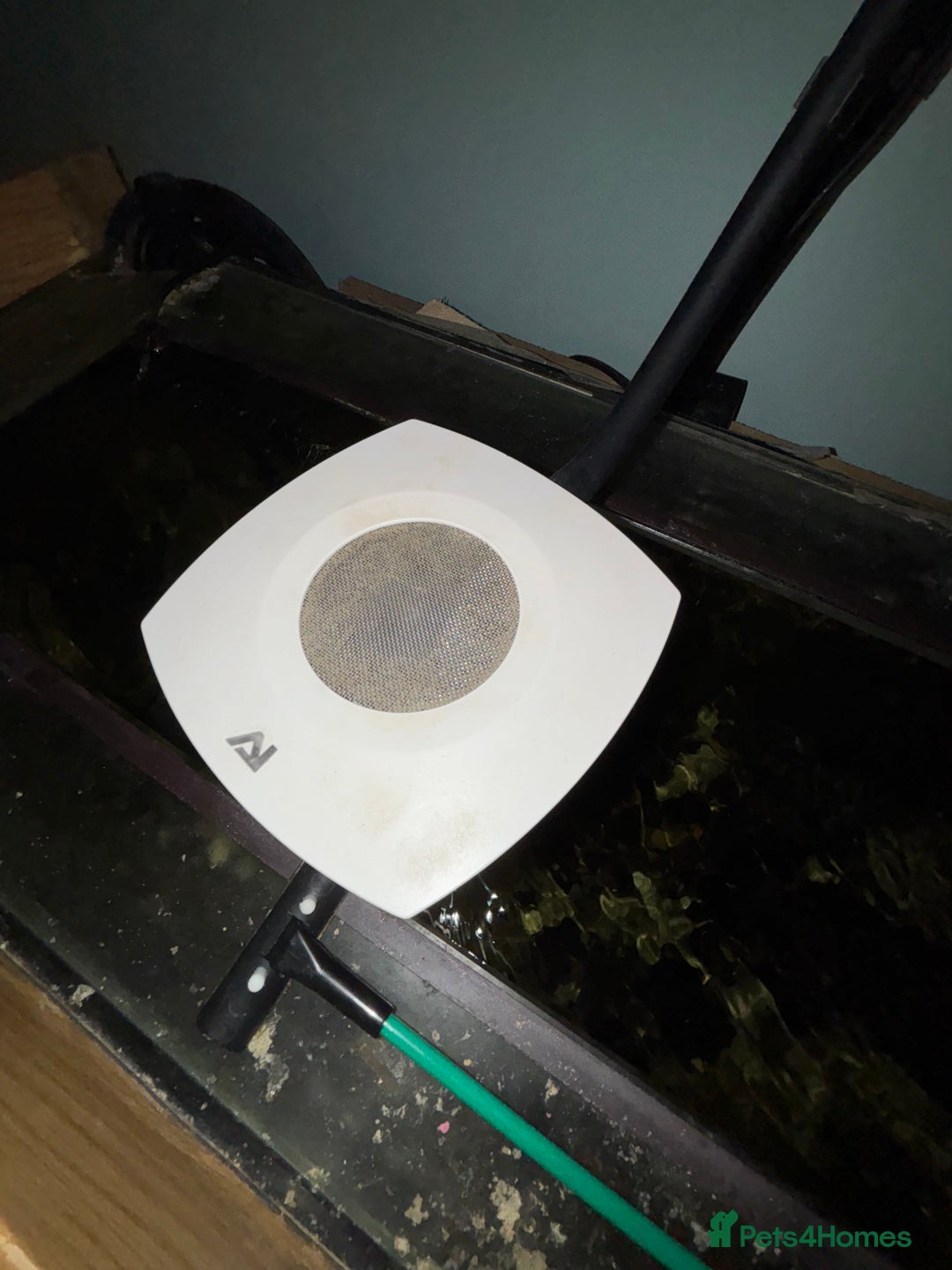 Other/Mixed Breed fish for sale: Marine Tank and Full Set Up  - Image 6