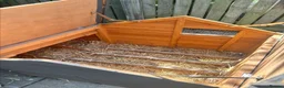 Chickens poultry for sale: 5 Chickens & Coop  - Advert 6