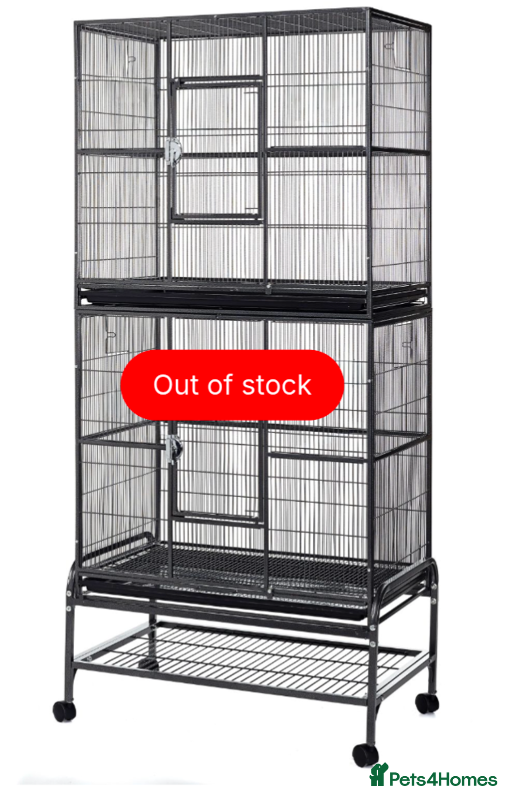 Cockatiels birds for sale: Male Hand Reared Cockatiel + Large Cage + Supplies - Image 4