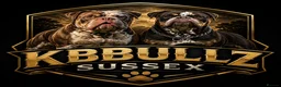 Dorset Olde Tyme Bulldogge dogs for sale: OLDE ENGLISH BULLDOG READY TO LEAVE  - Advert 18