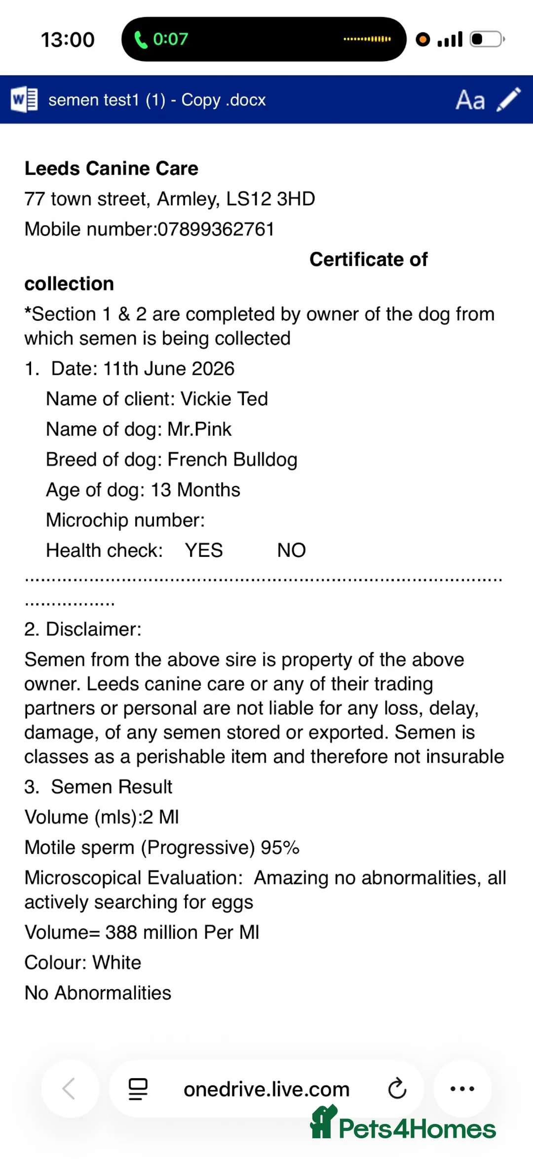 French Bulldog dogs for stud: Mr pink  - Advert 2