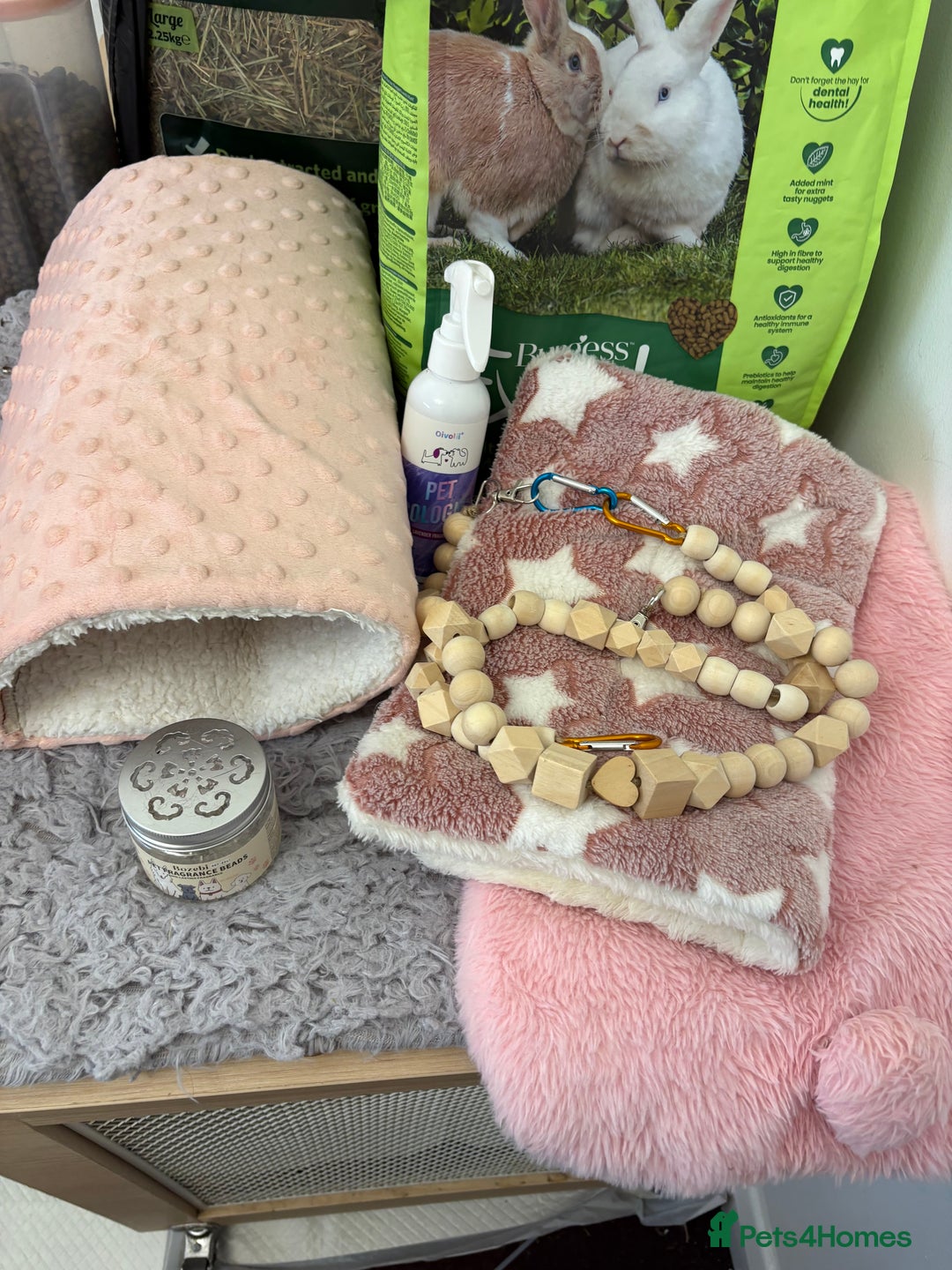 Mixed Breed rabbits for sale: Indoor Rabbit Plus Full Set Up/Etc. For Sale - Advert 15