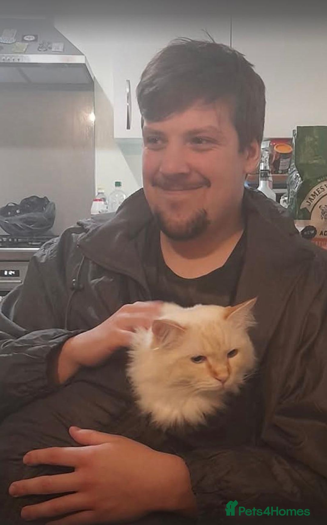 Gallery Image {{count}}