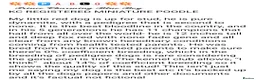 Cockapoo dogs for sale: F1B Cockapoos - Advert 3
