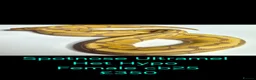 Python Snake reptiles for sale: Variety of Royal Pythons - Advert 8