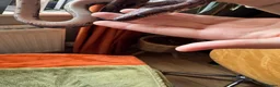 Boa Snake reptiles for sale: Juvenile male Brazillian Rainbow Boa - Advert 5