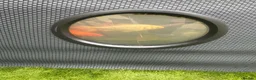 Koi Carp fish for sale: Pond & fish all included  - Advert 4