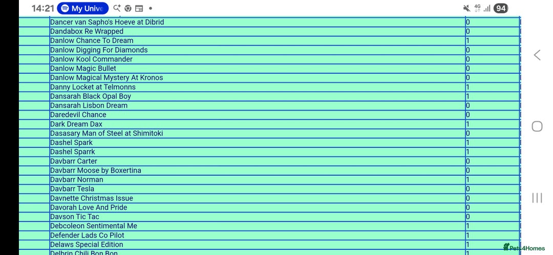 Boxer dogs for stud: PROVEN 0 HEART SCORE BOBTAIL STUD - Advert 5
