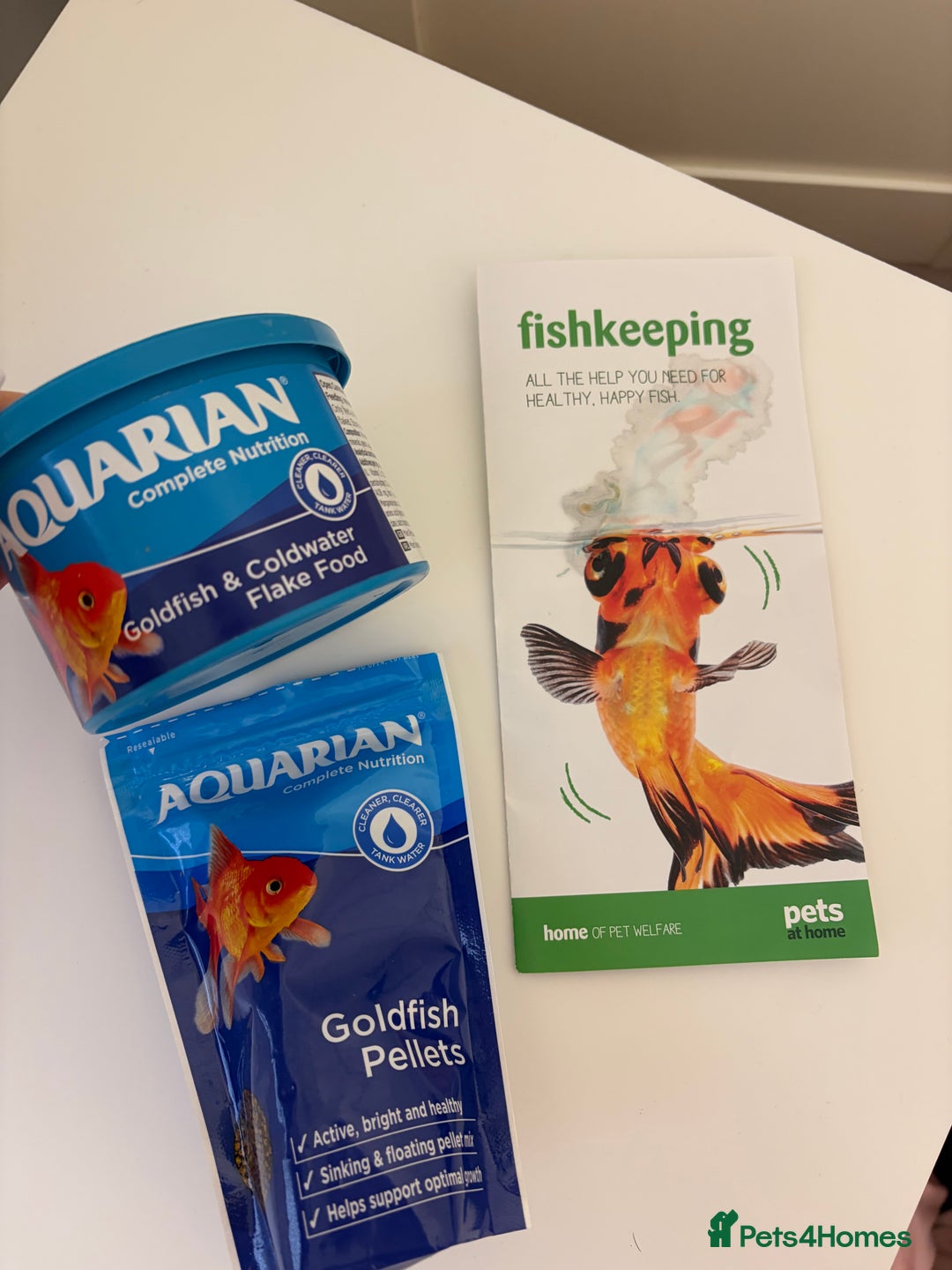 Goldfish fish for sale: Goldfish and Tank - Advert 4