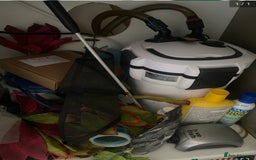 Axolotl reptiles for sale: 2x axolotls tank, CHILLER and accessories  - Image 4