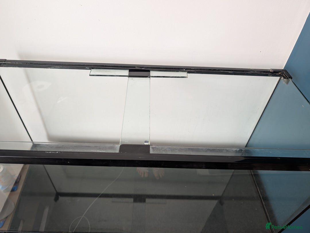 Other/Mixed Breed fish for sale: Fish Tank with Stand and Fluval 207 filter - Image 6
