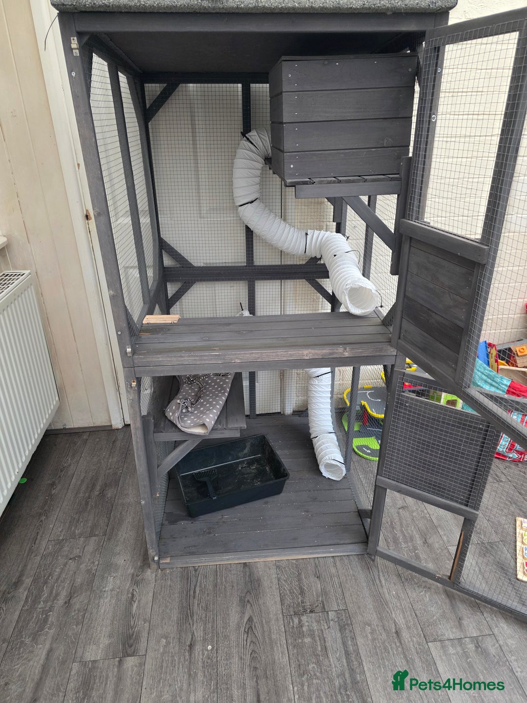 Ferret rodents for sale: Full ferret  set up  - Image 6