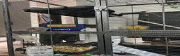 Rat rodents for sale: Baby rats  - Advert 4
