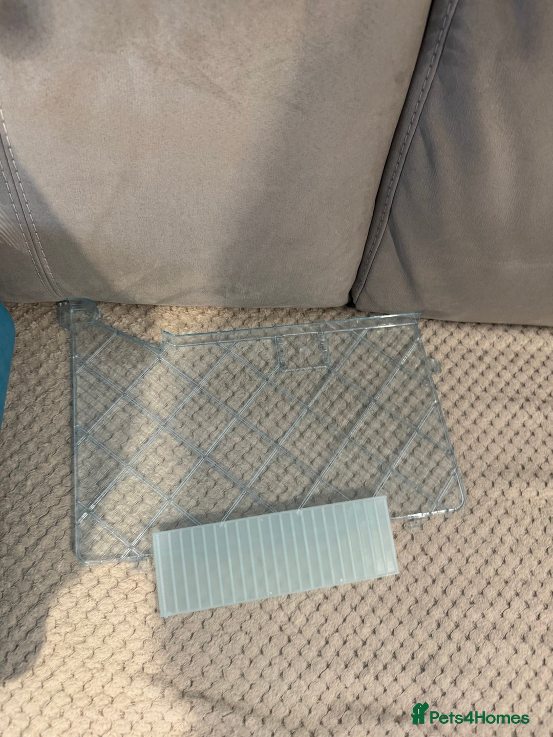 Hamster rodents for sale: Hamster cage set up with everything u need - Image 7