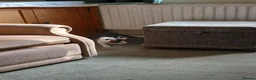 Mixed Breed cats for sale: Tiny male kitten,  black and white in Market Harborough - Advert 5