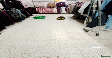 Cockapoo dogs - Advert 11