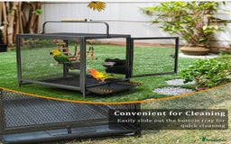 Quail poultry for sale: JAPANESE & JUMBO QUAILS ! - Image 12