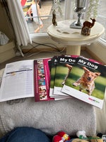 Mixed Breed dogs - Advert 7