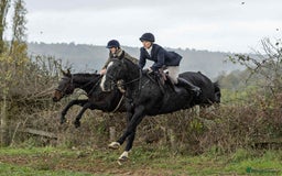 English Thoroughbred horses for sale: X2 safe stunning geldings alrounders - Image 26